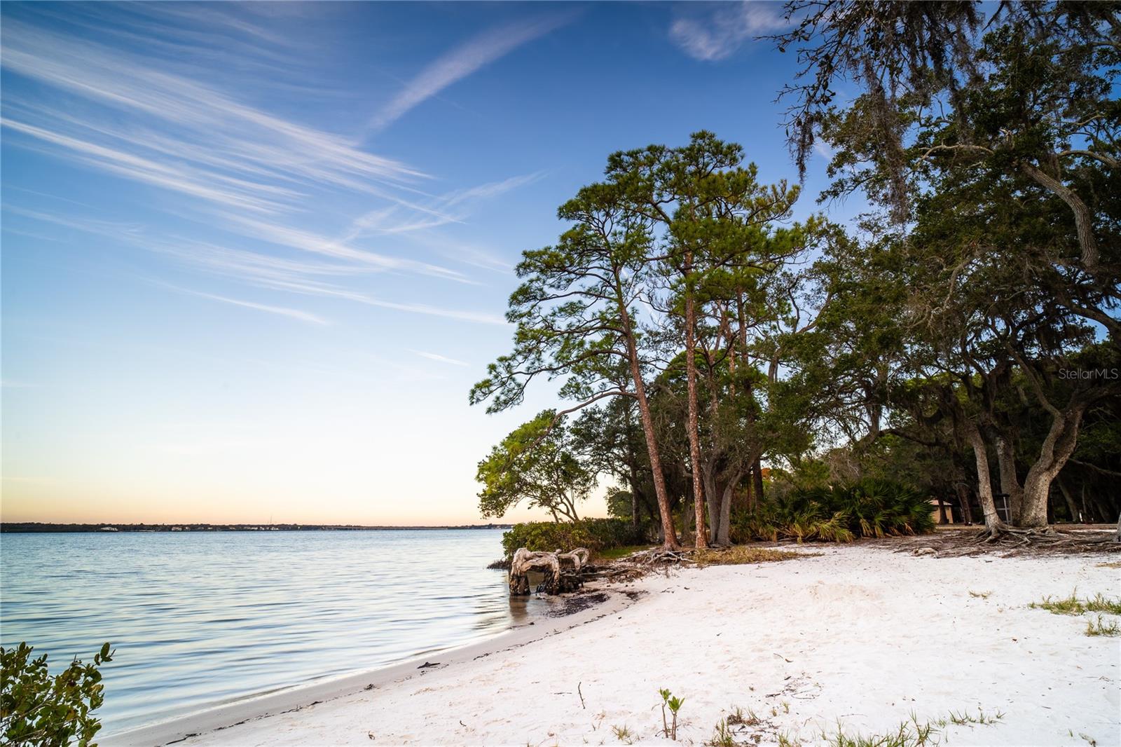 MOBBLY BAYOU PARK DIRECTLY ON TAMPA BAY