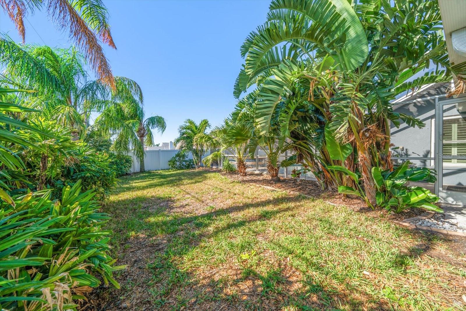 Landscaped back yard, fenced too!