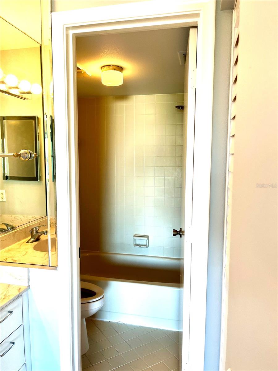 Primary vanity area and separate shower/tub