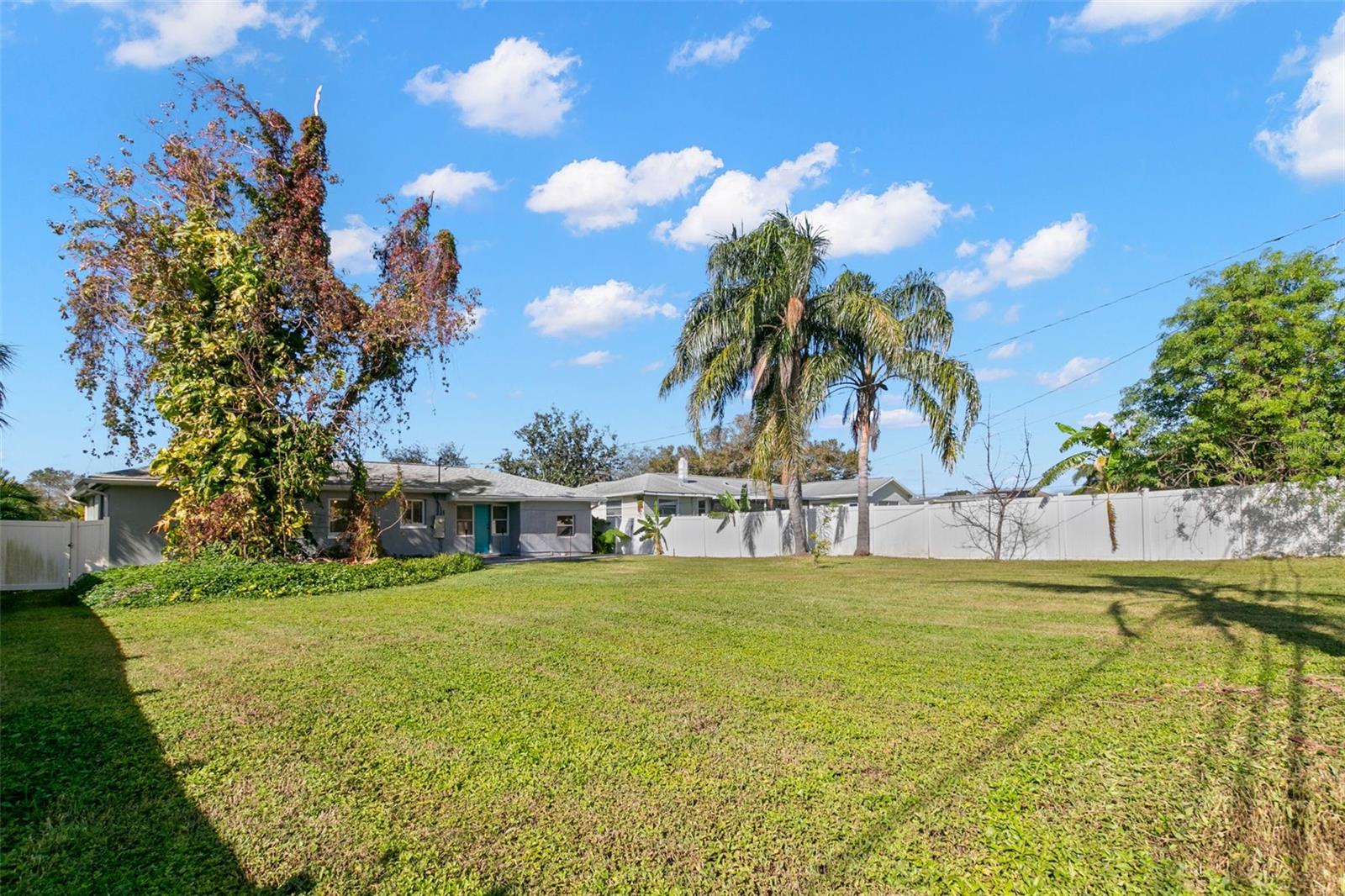 back yard with fencing