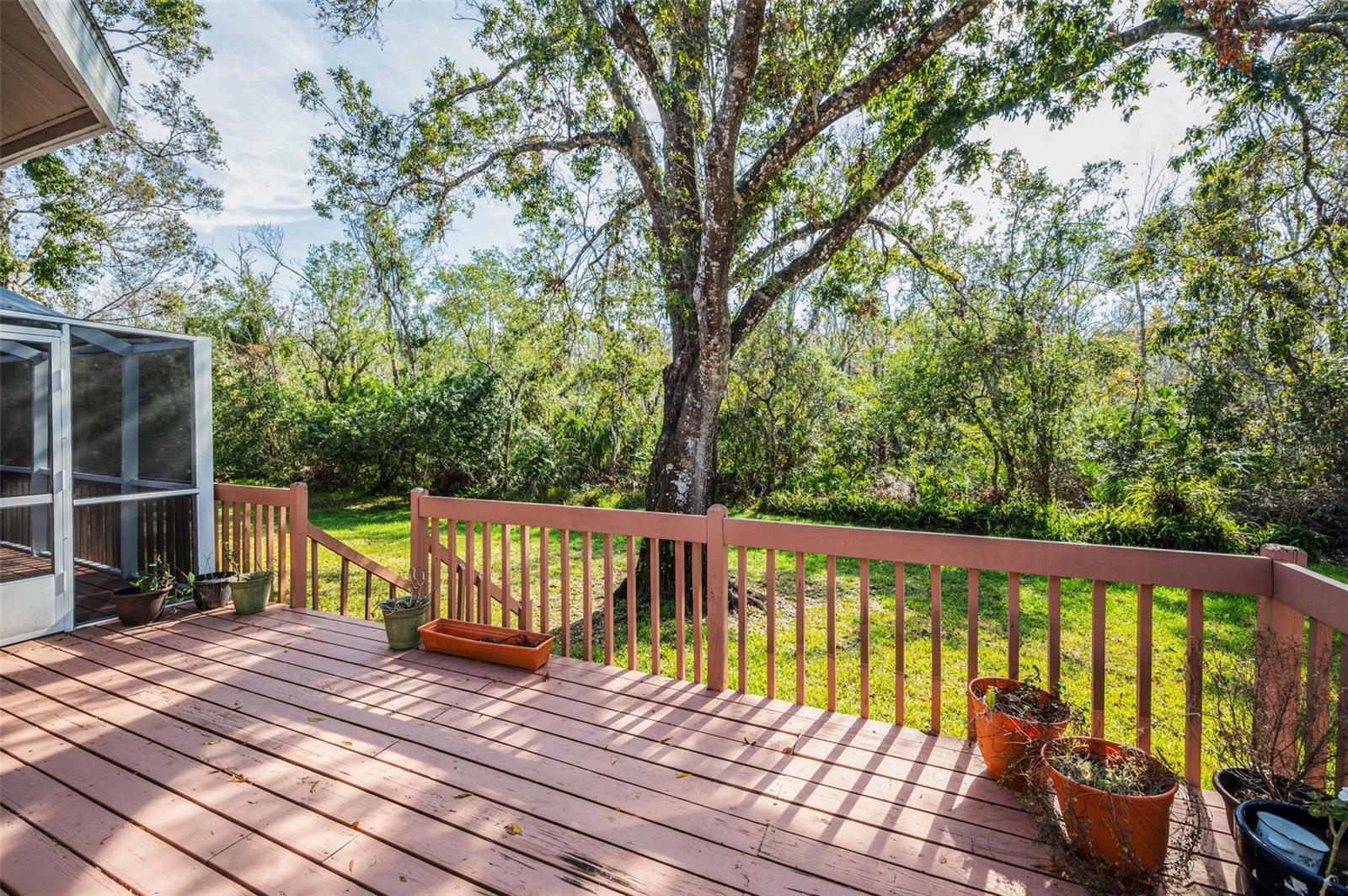 Open-air Back Porch