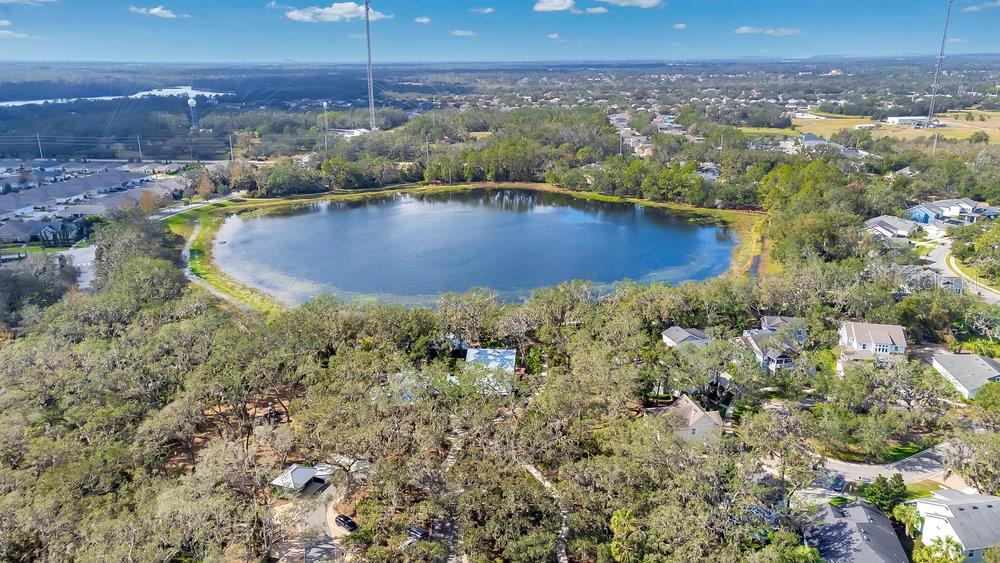 Lake Hutto and the Lake House