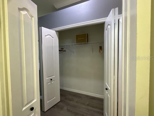 Primary Suite Closet