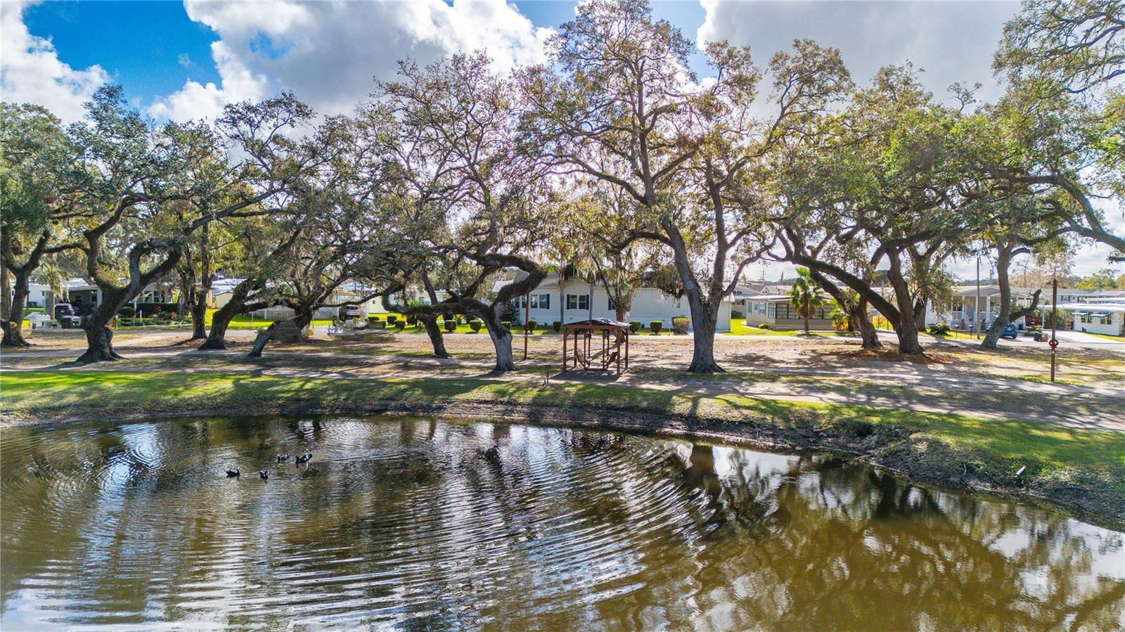 POND view! This home had no flooding during the storms.