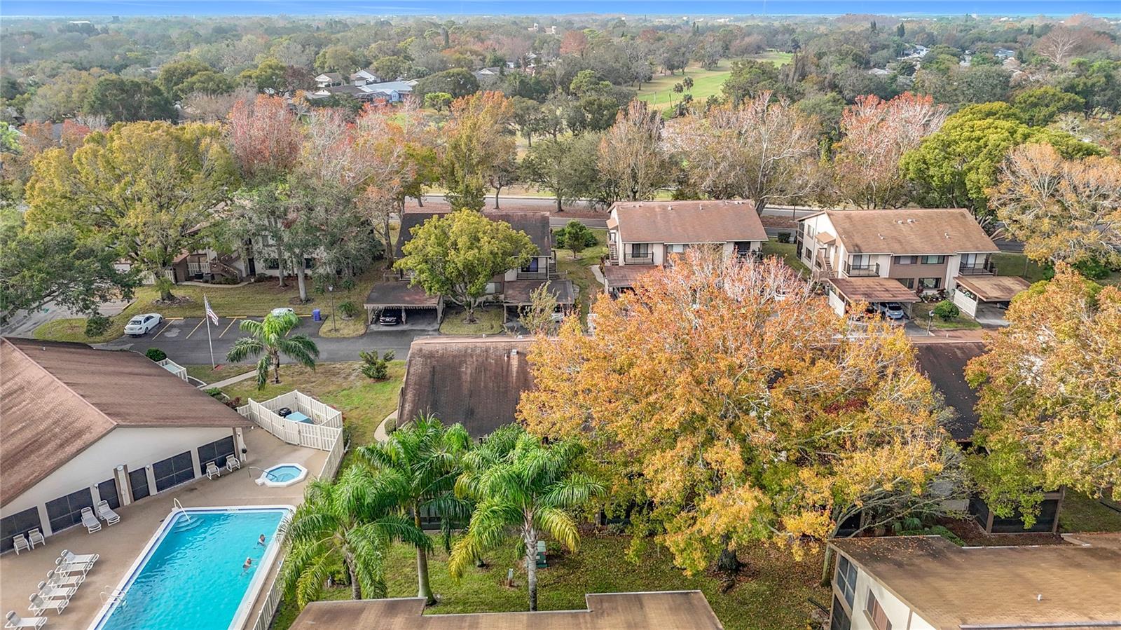 Pool just 100 feet from unit