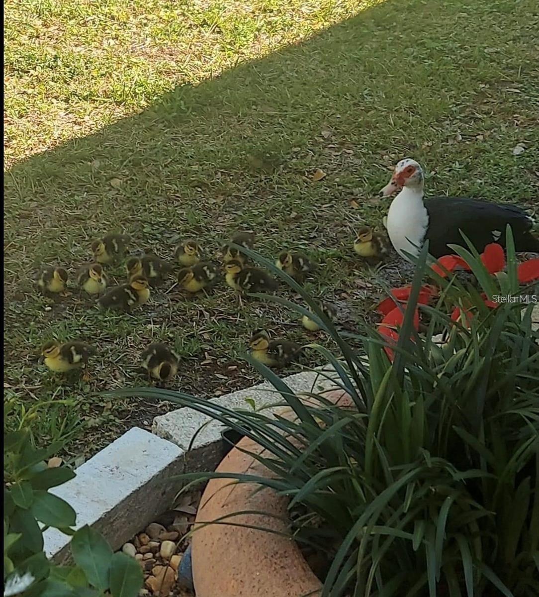 Our little neighborhood nursery