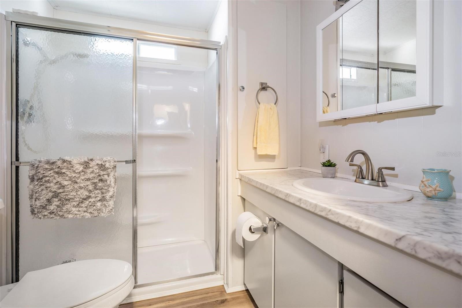 Guest bath with updated shower