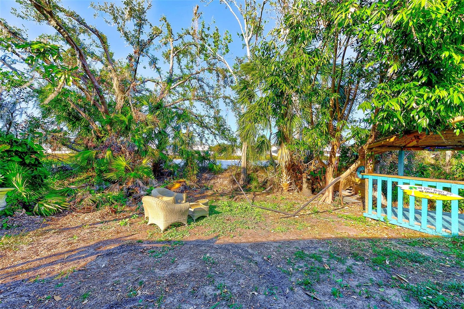 BACK YARD TO VIEW LAKE