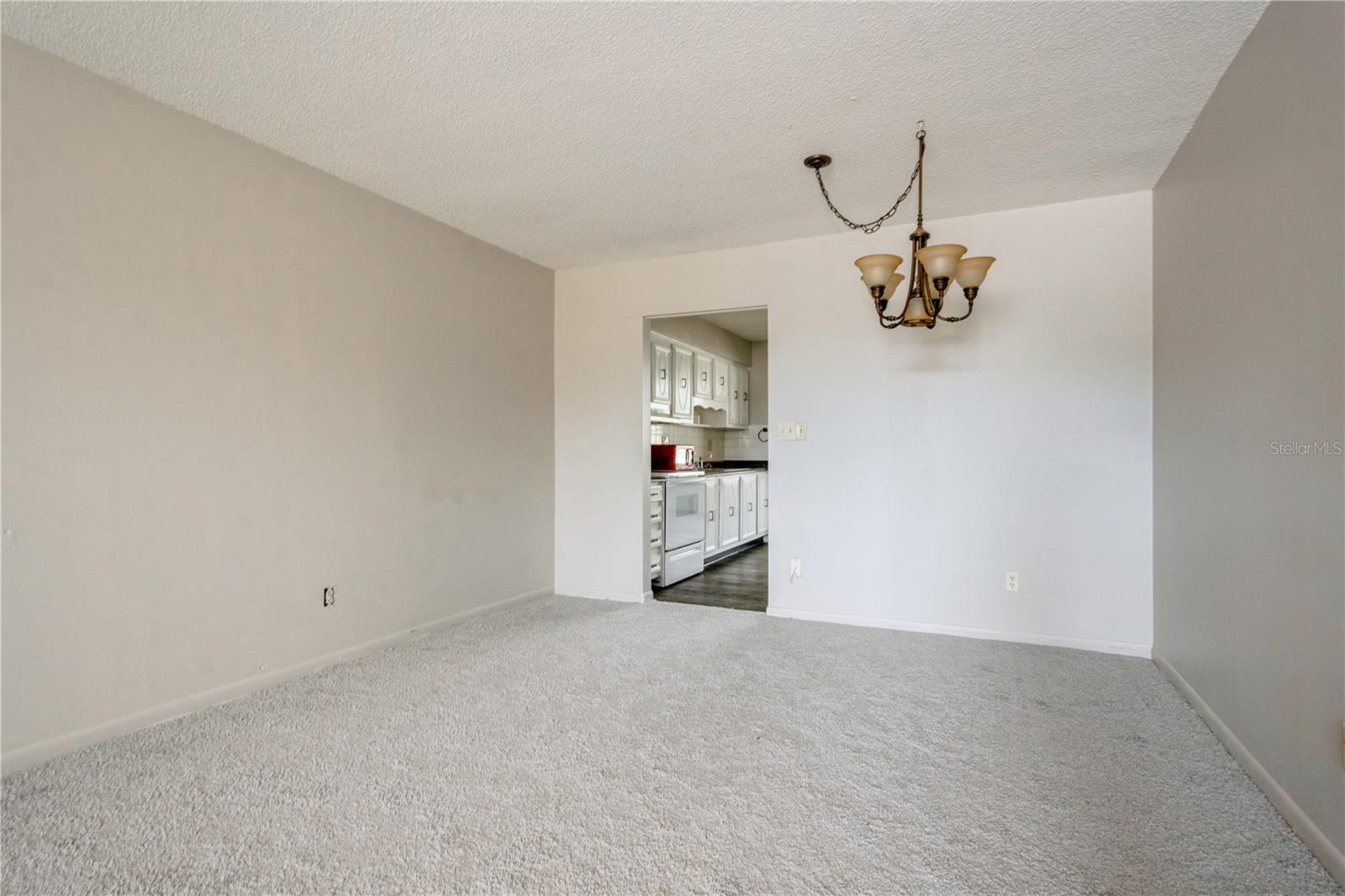 Living Dining Area