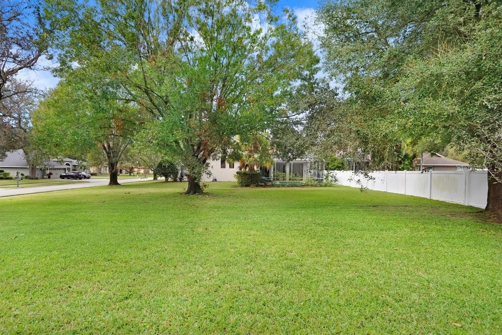 Backyard view to neighbors