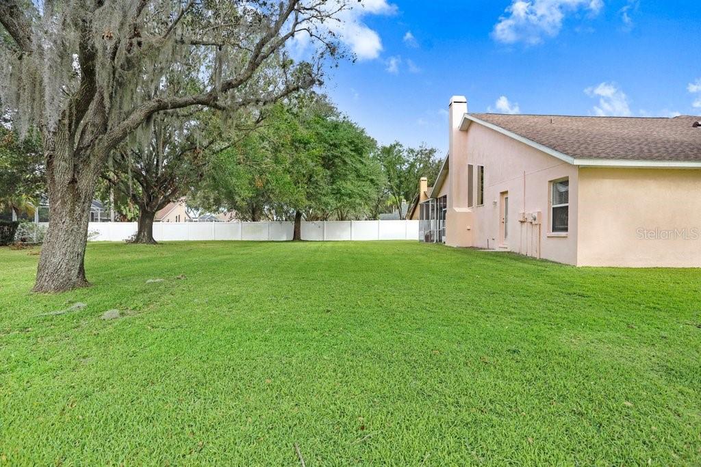 Side and back yard view