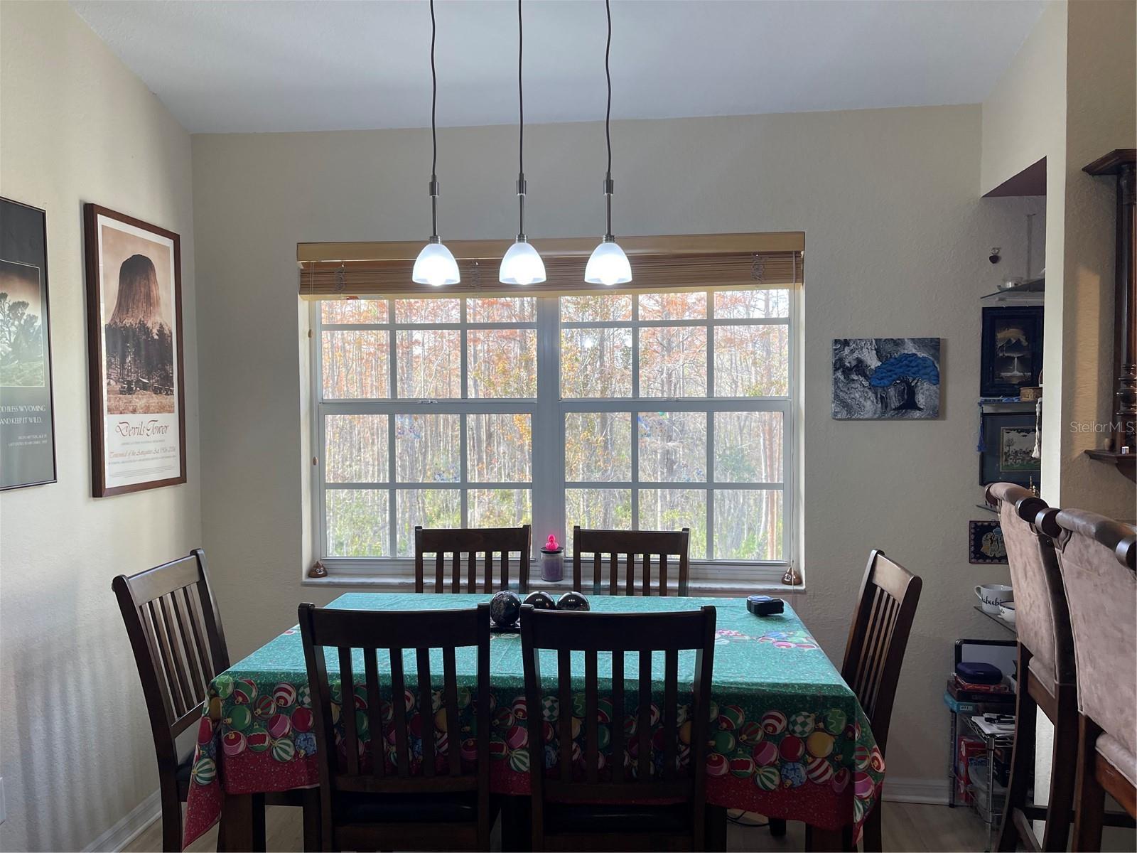 Pendant lights, Glass shelves near dining table. Dining room stays with the condo.