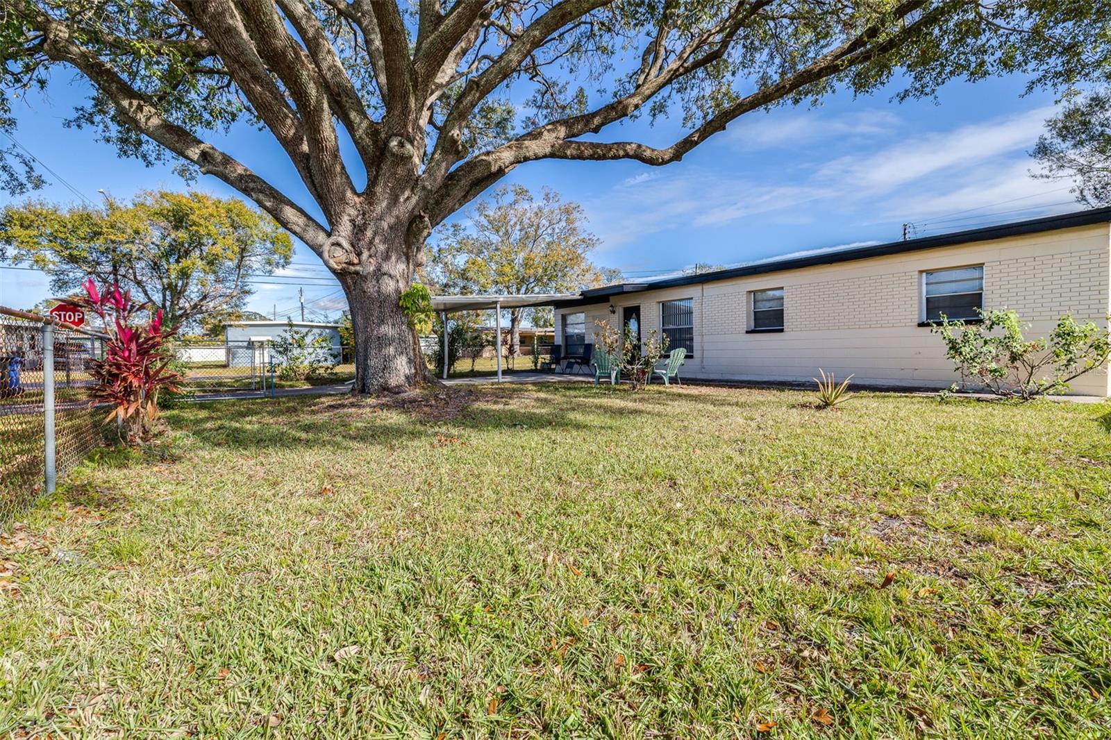 Beautiful large oak in front yard