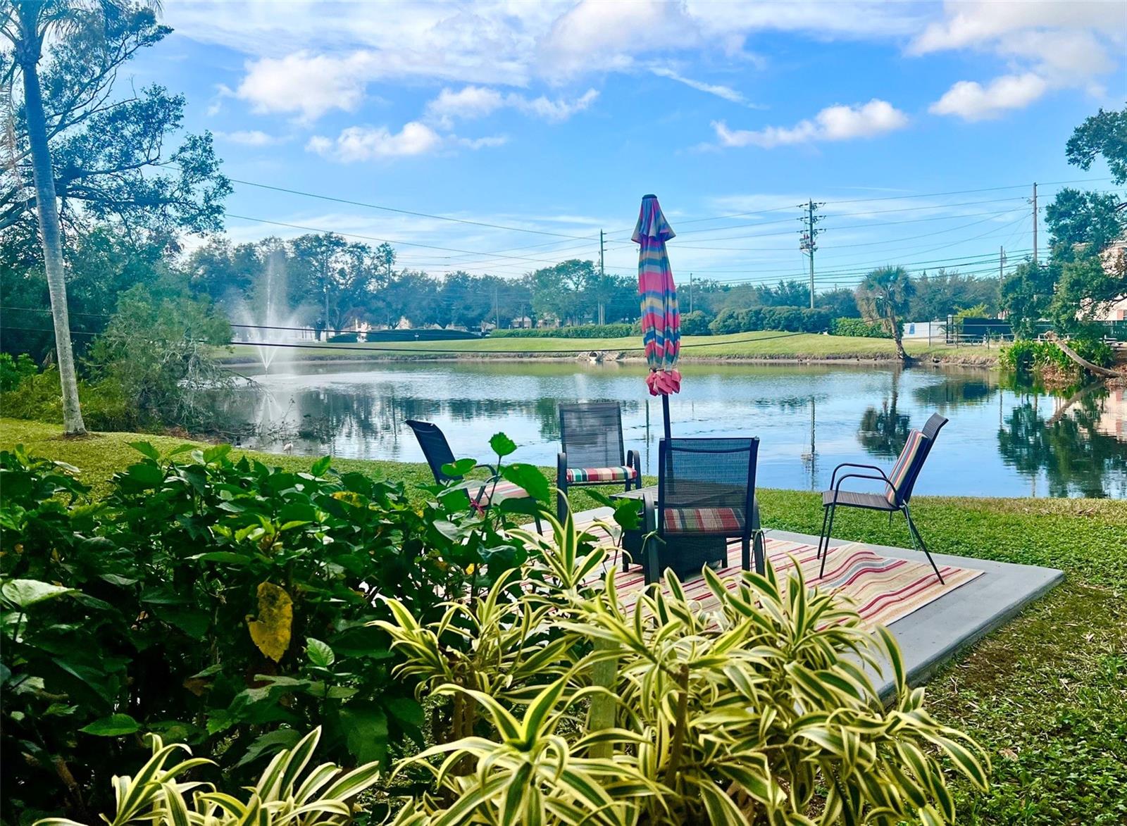 Condo overlooks lake with fountain and wildlife