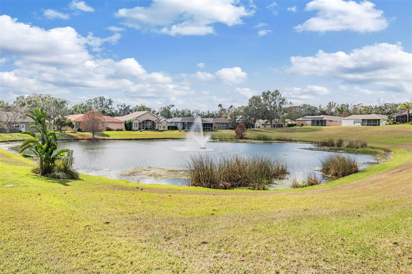 Serene pond in your backyard oasis!