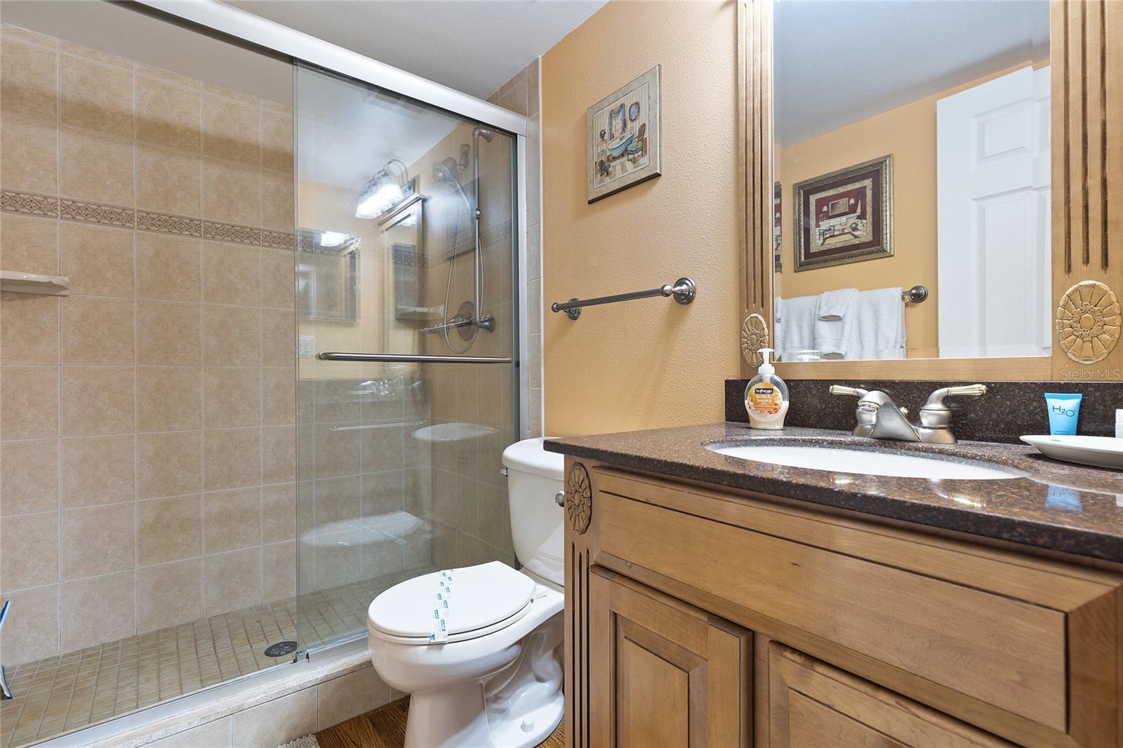 Ensure Bathroom Walk-in Shower