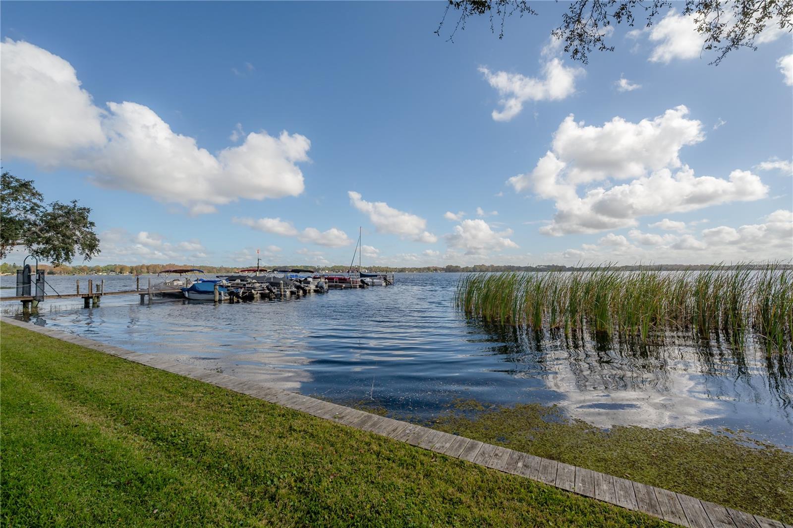 Boardwalk along Lake Tarpon