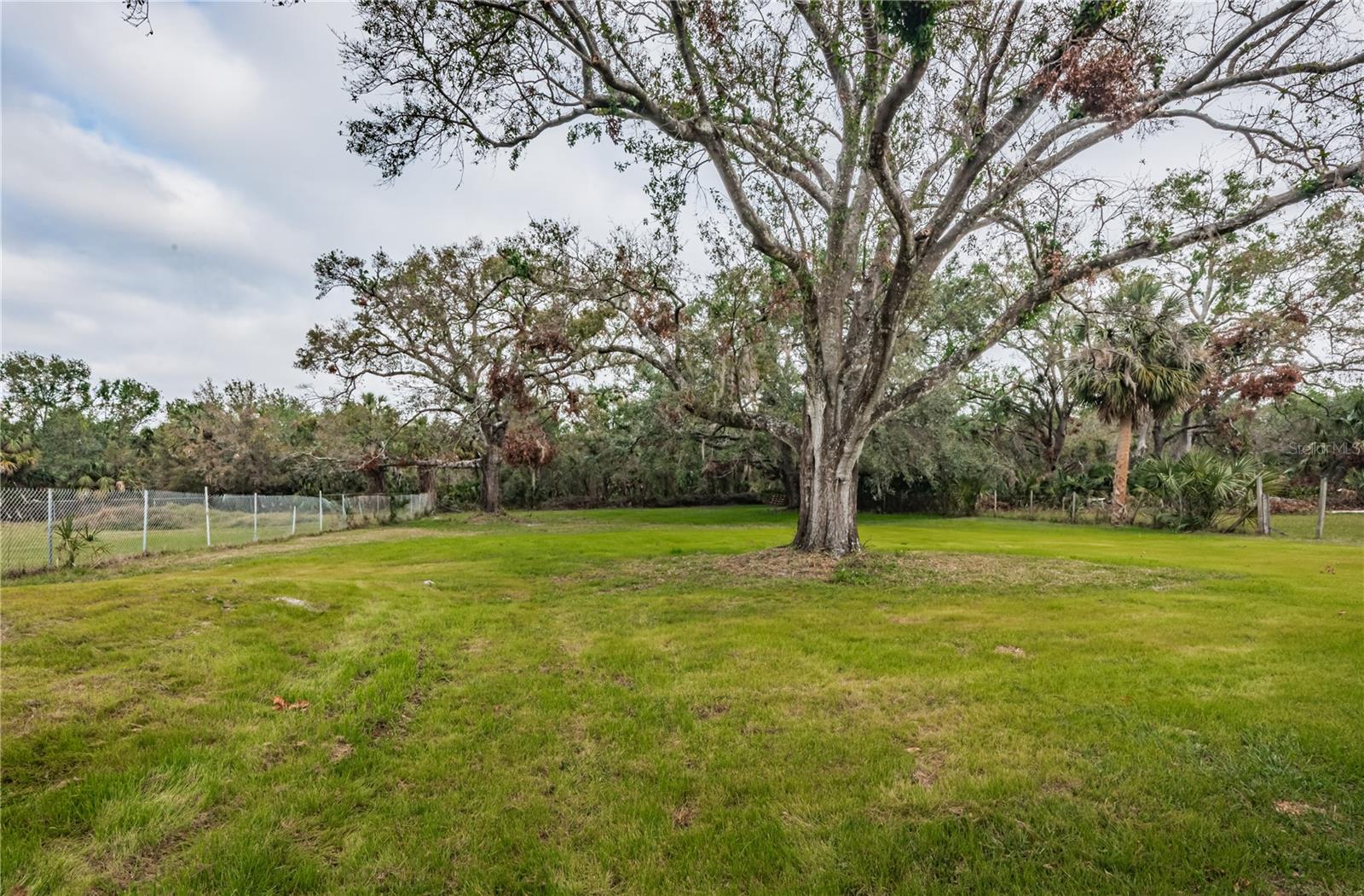 Spacious backyard