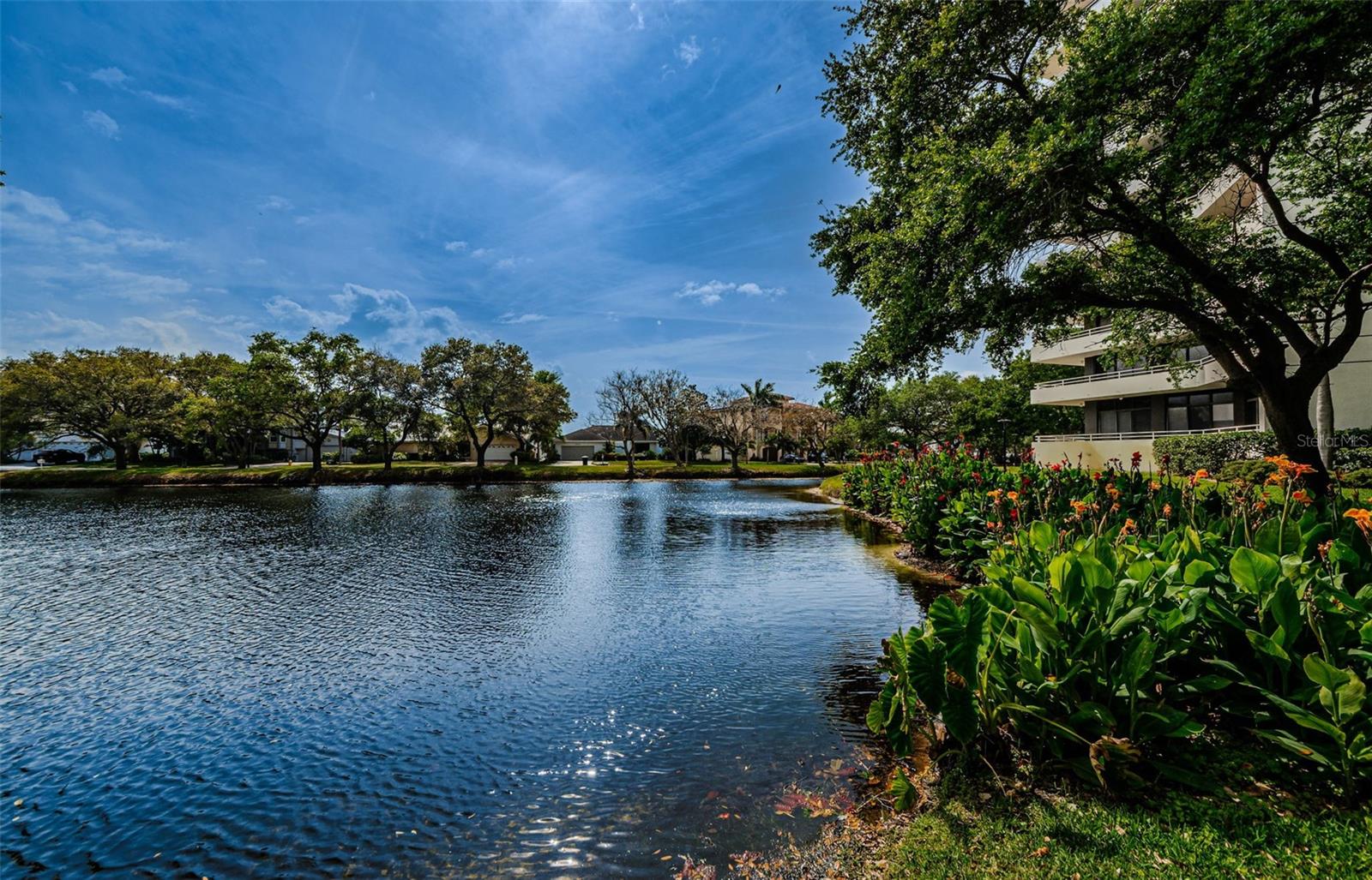 A peaceful pond & lush landscaping!