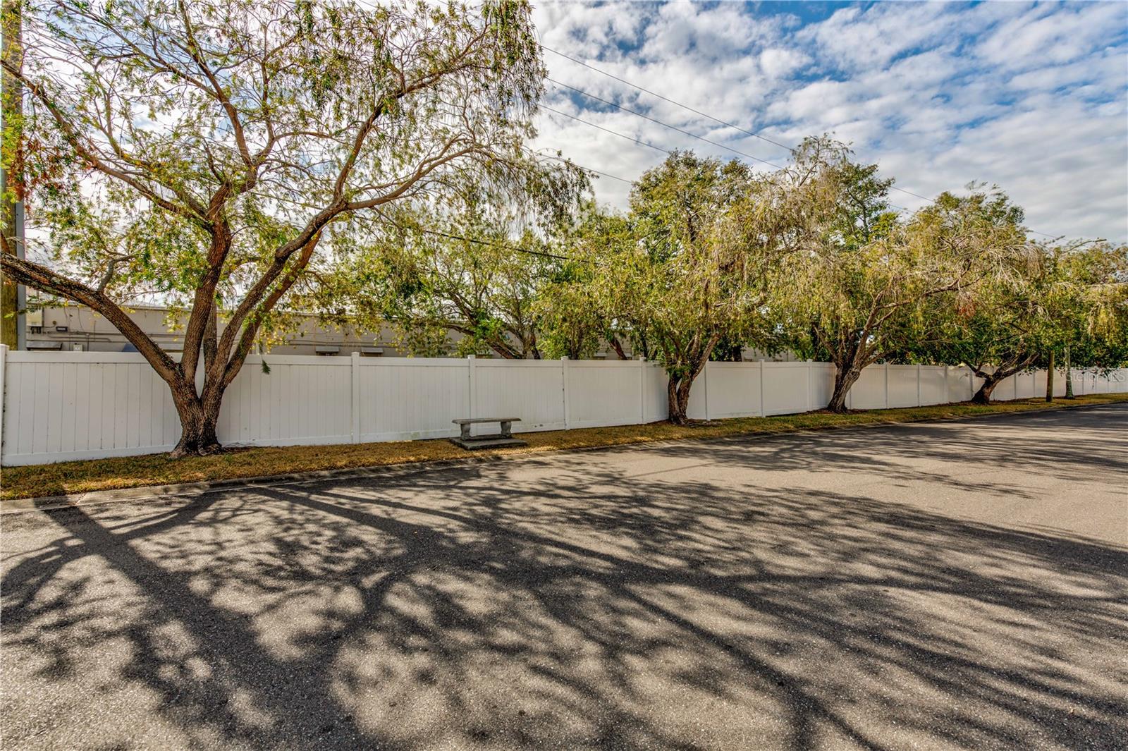 TREE LINED STREET WITH PRIVACY FENCING