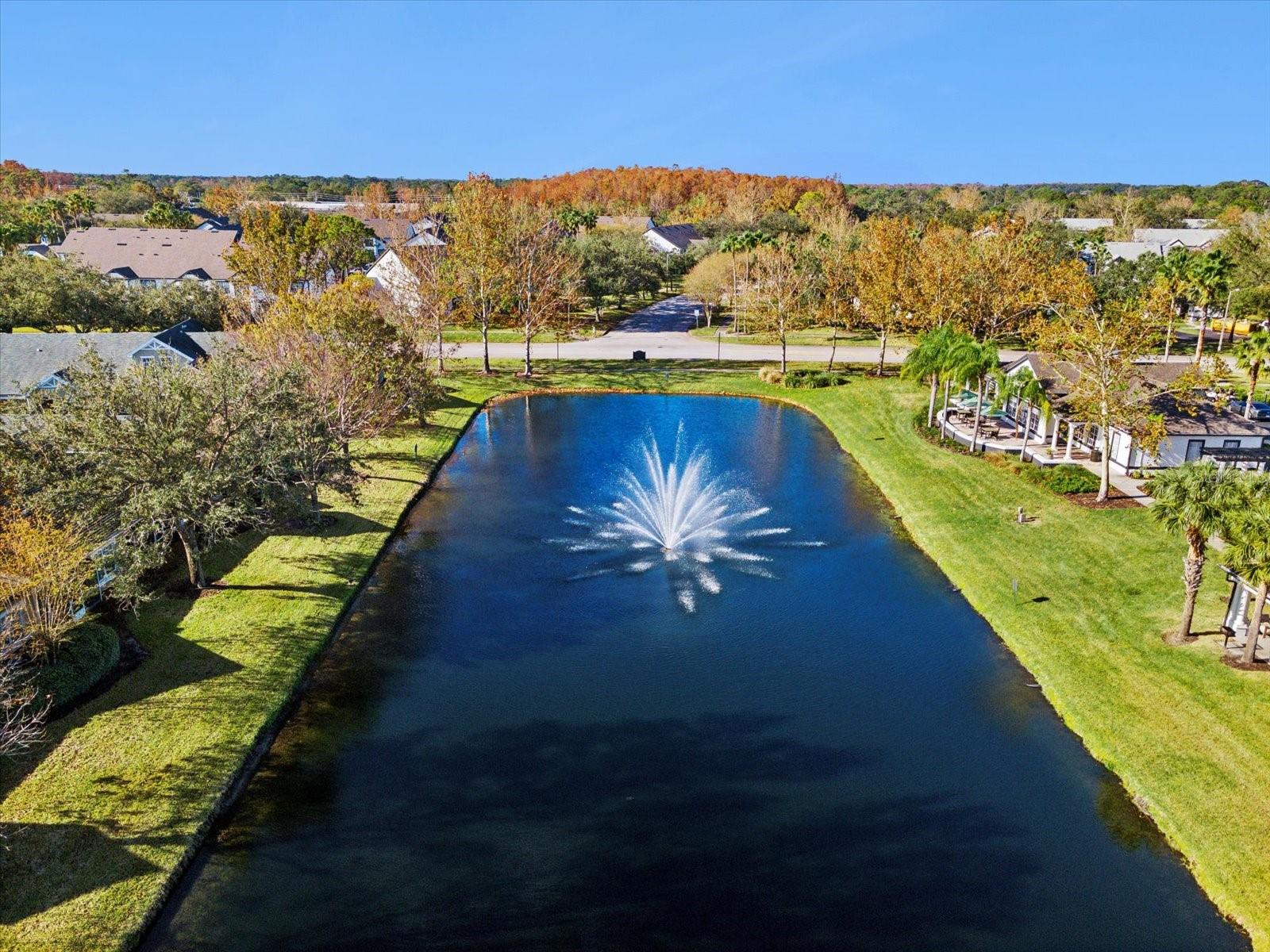 Retention pond Adjacent to home