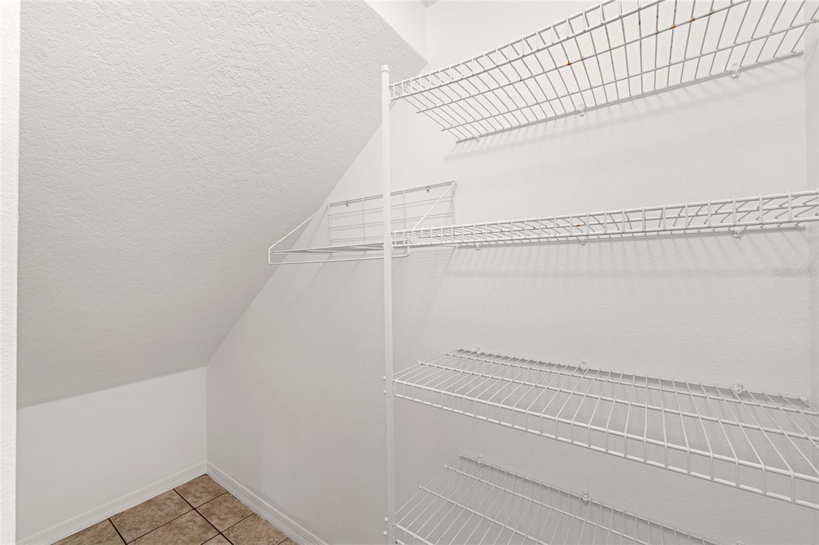 Pantry / Under Stair Storage