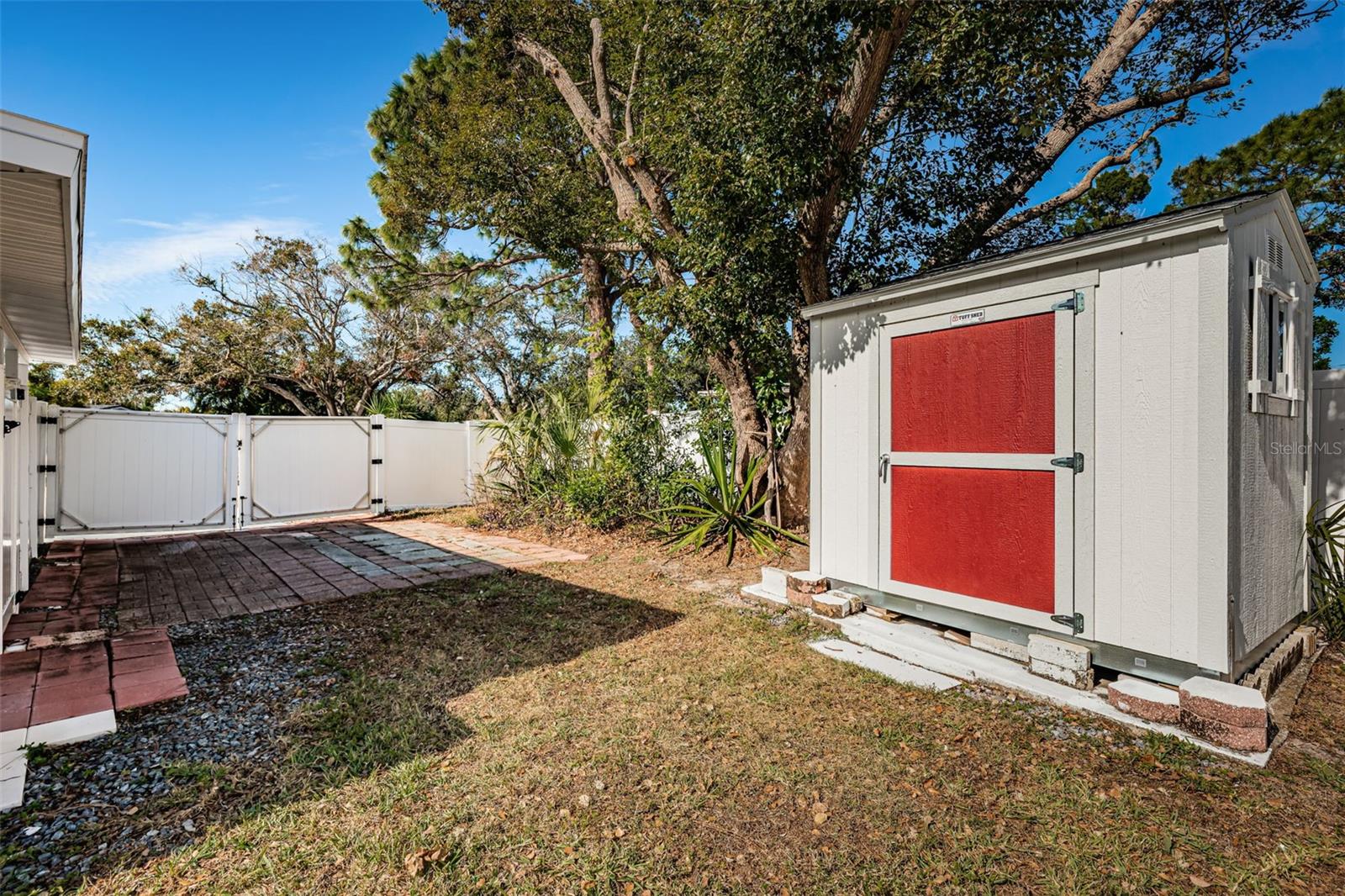 Back Tough Shed