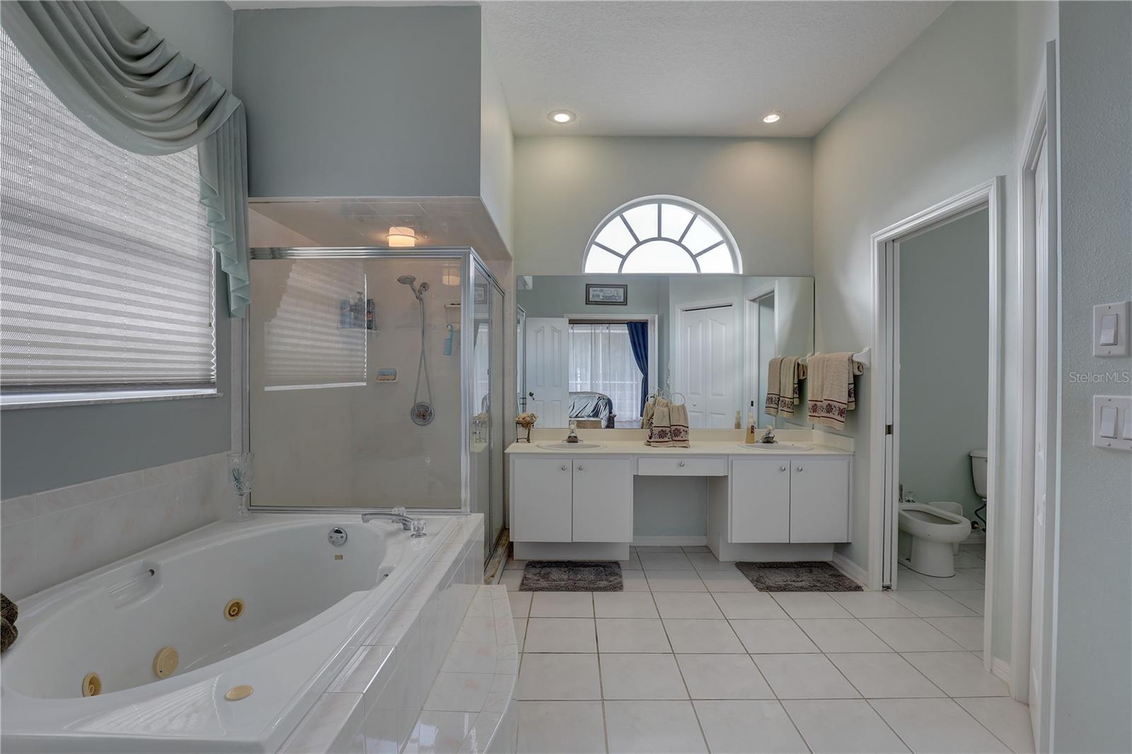 View of Ensuite bathroom from master bedroom