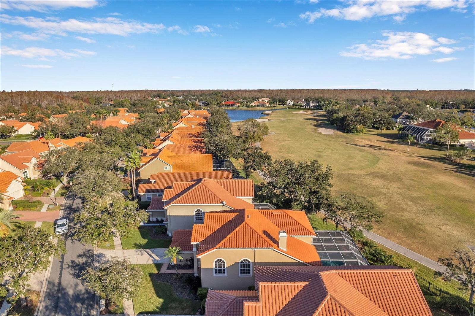 Cheval Golf Course View