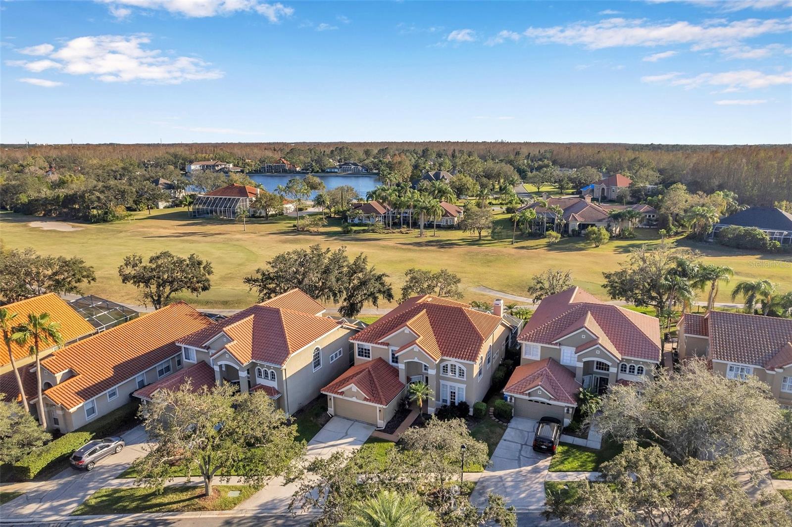 Cheval Golf Course View