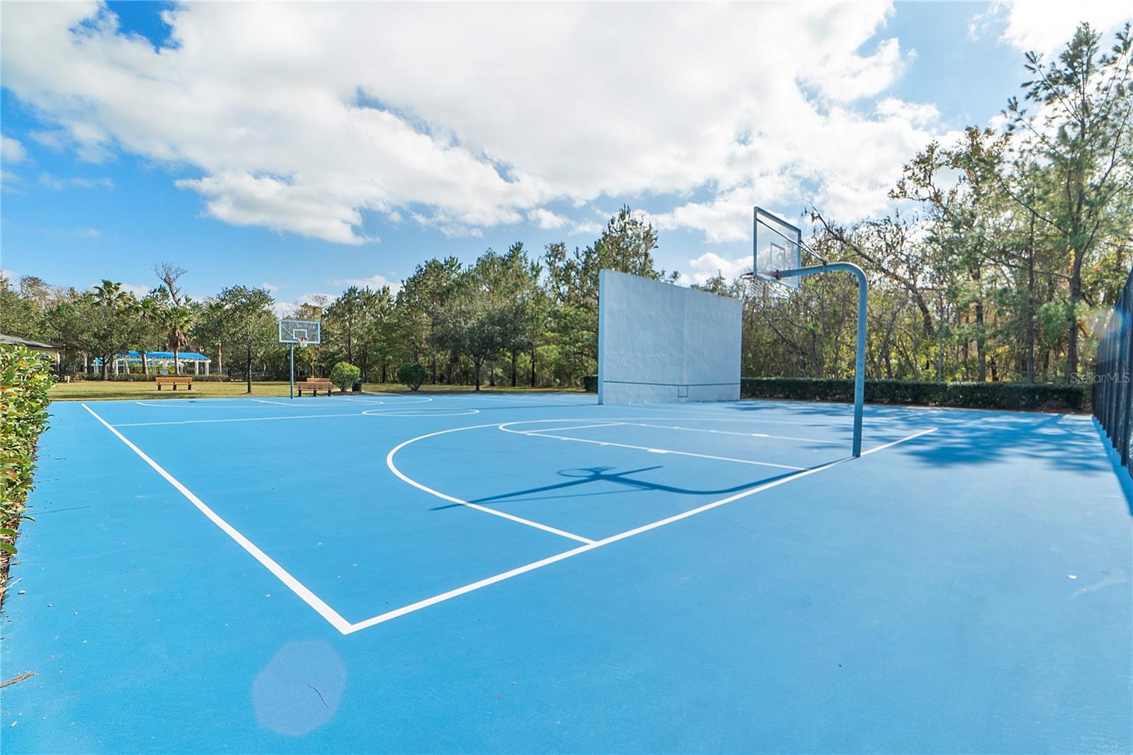 Basketball Court