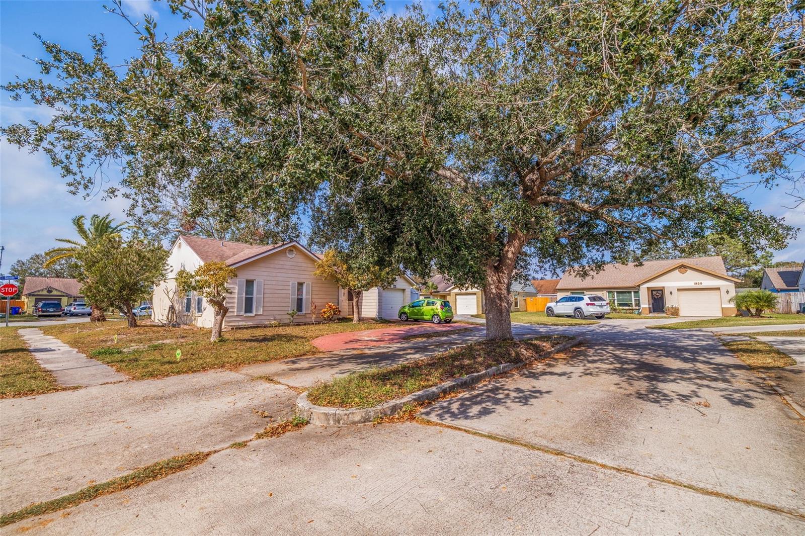 Property Driveway View 2