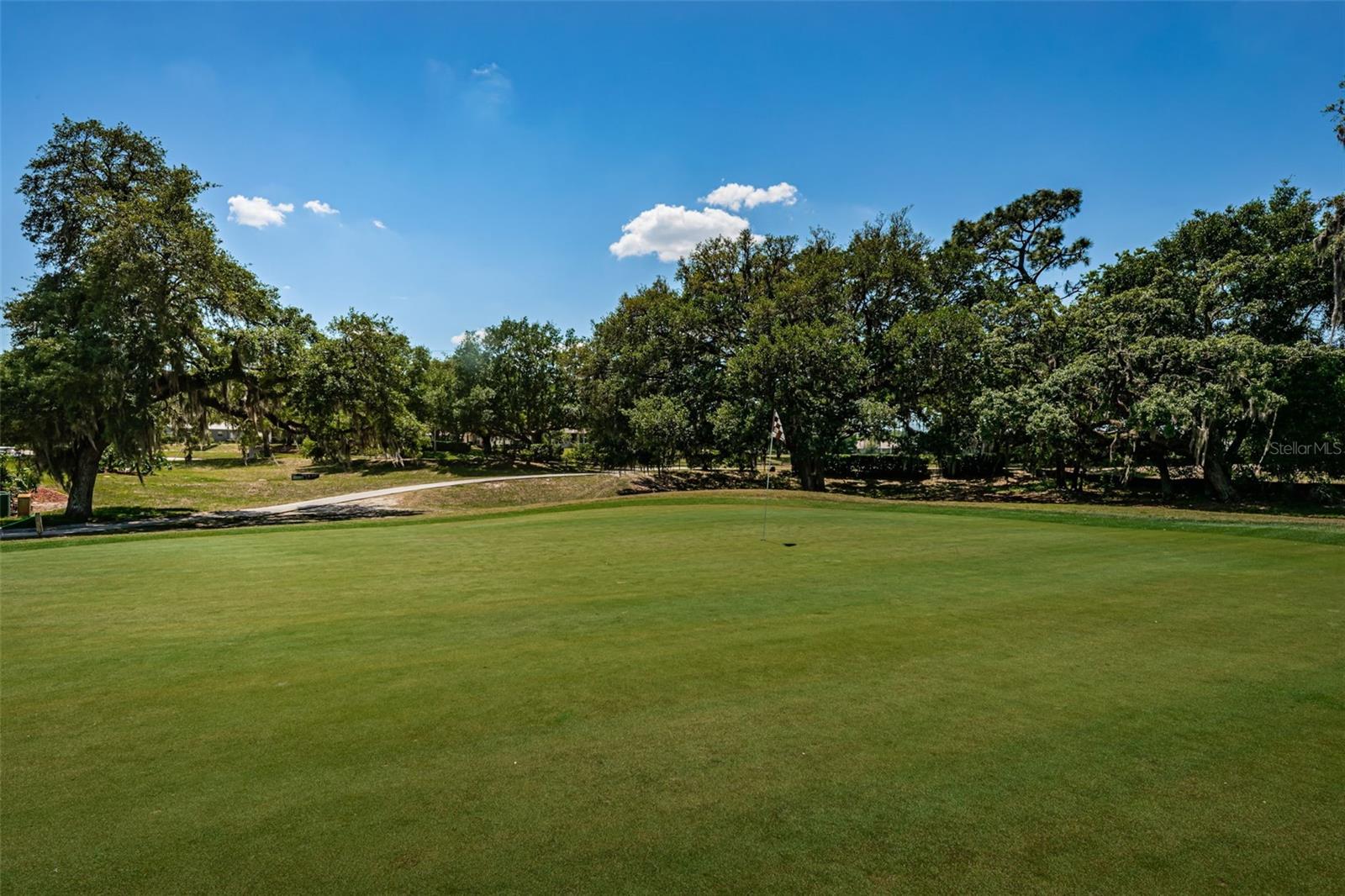 Golf course behind the home