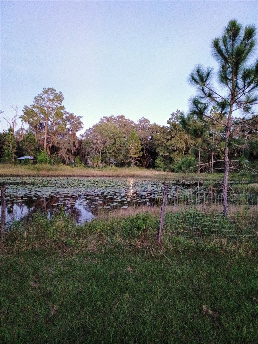 Fishing Pond in NE Corner