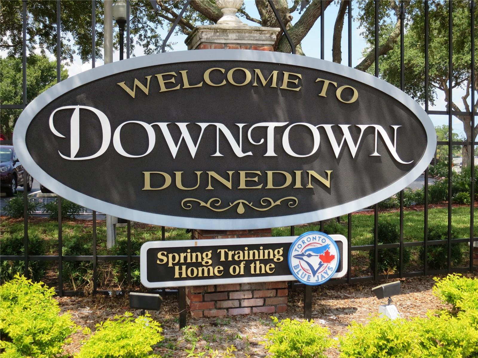 Downtown Dunedin