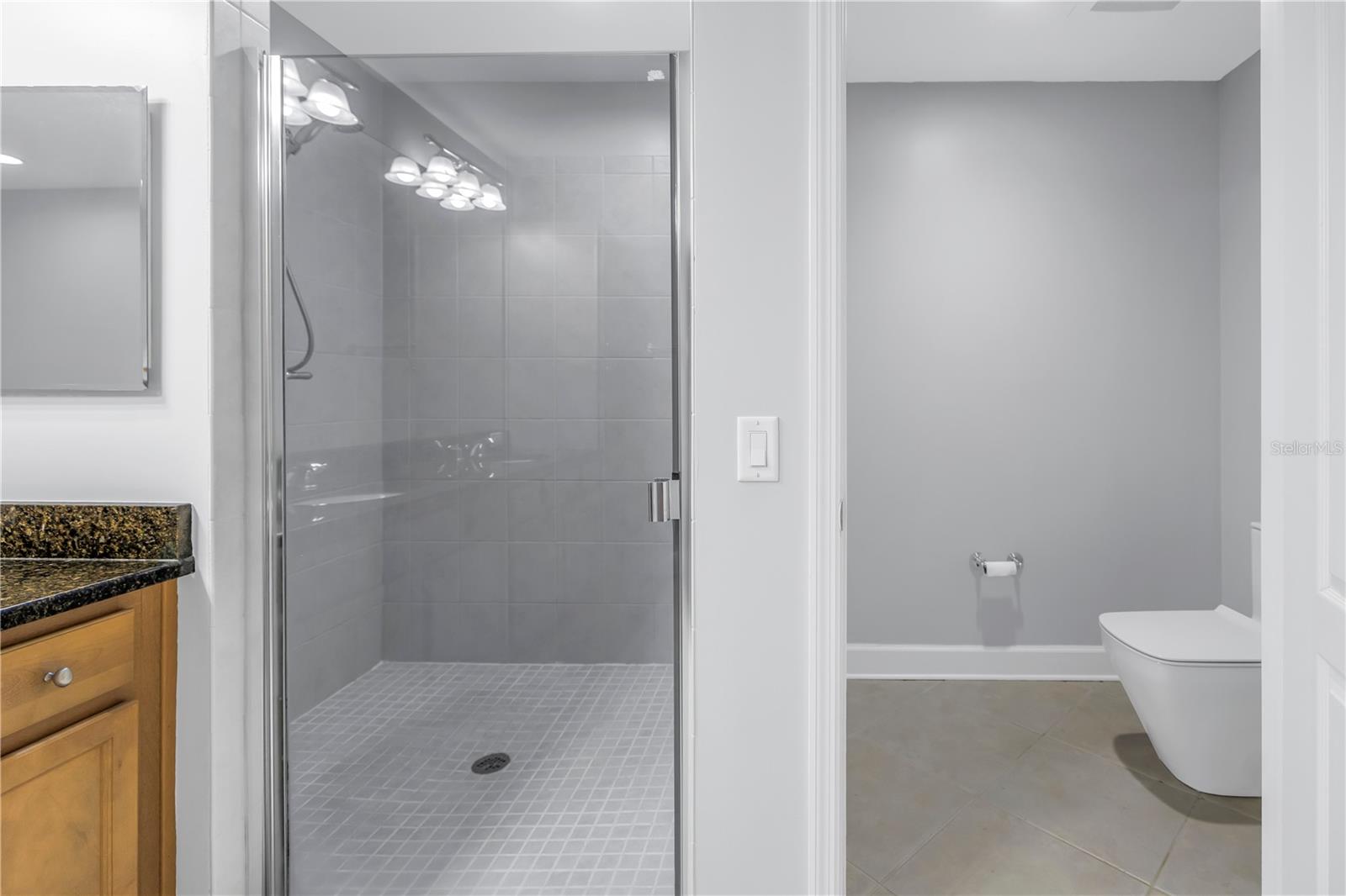 Primary Bathroom Walk-in Shower and Water Closet