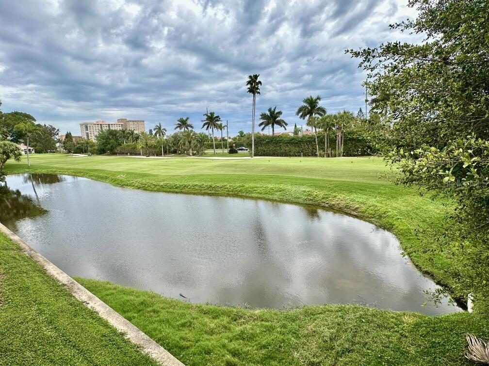 View from Kitchen Window of pool & Boca Ciega Bay