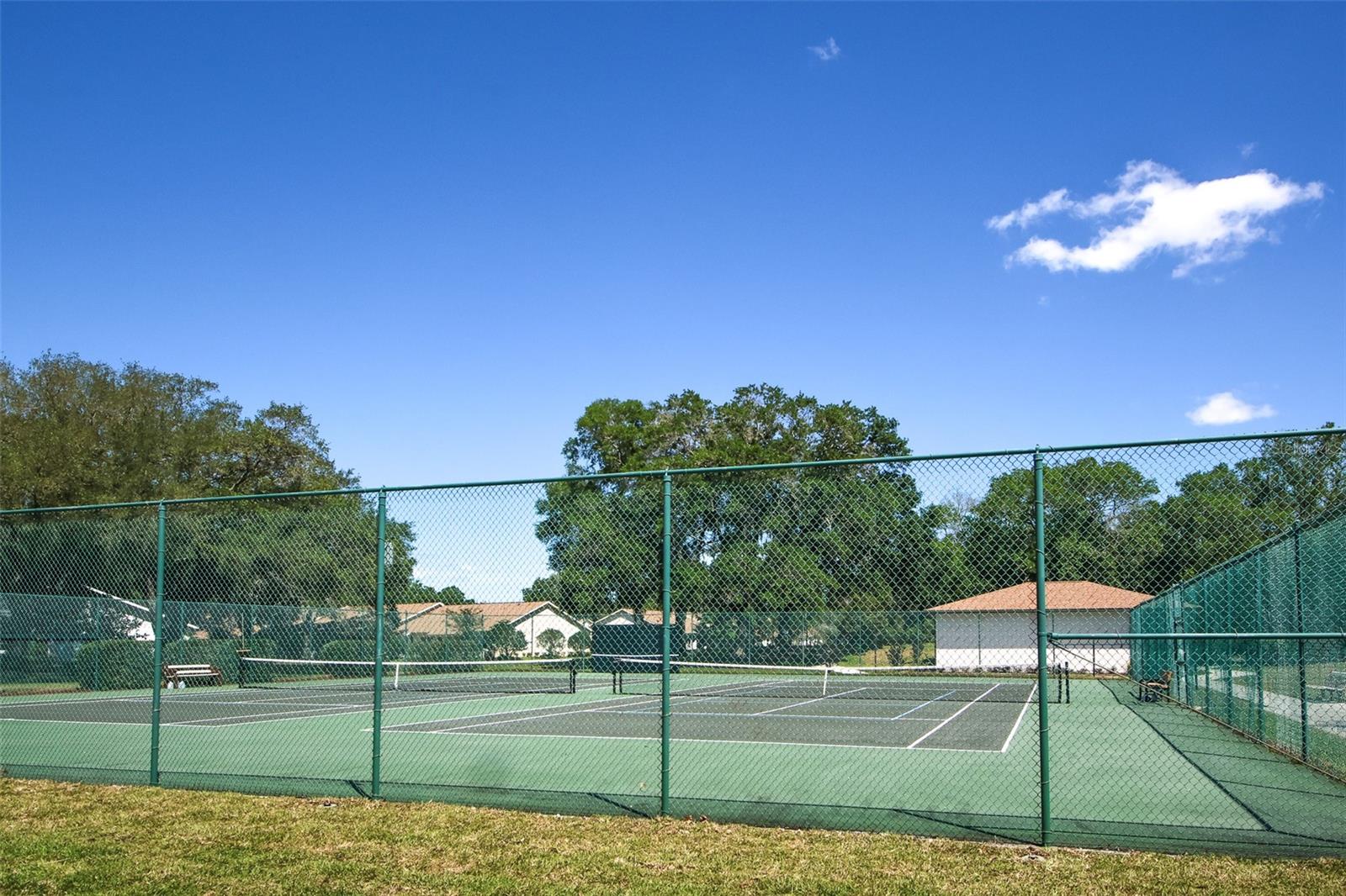 Tennis or bocce ball too