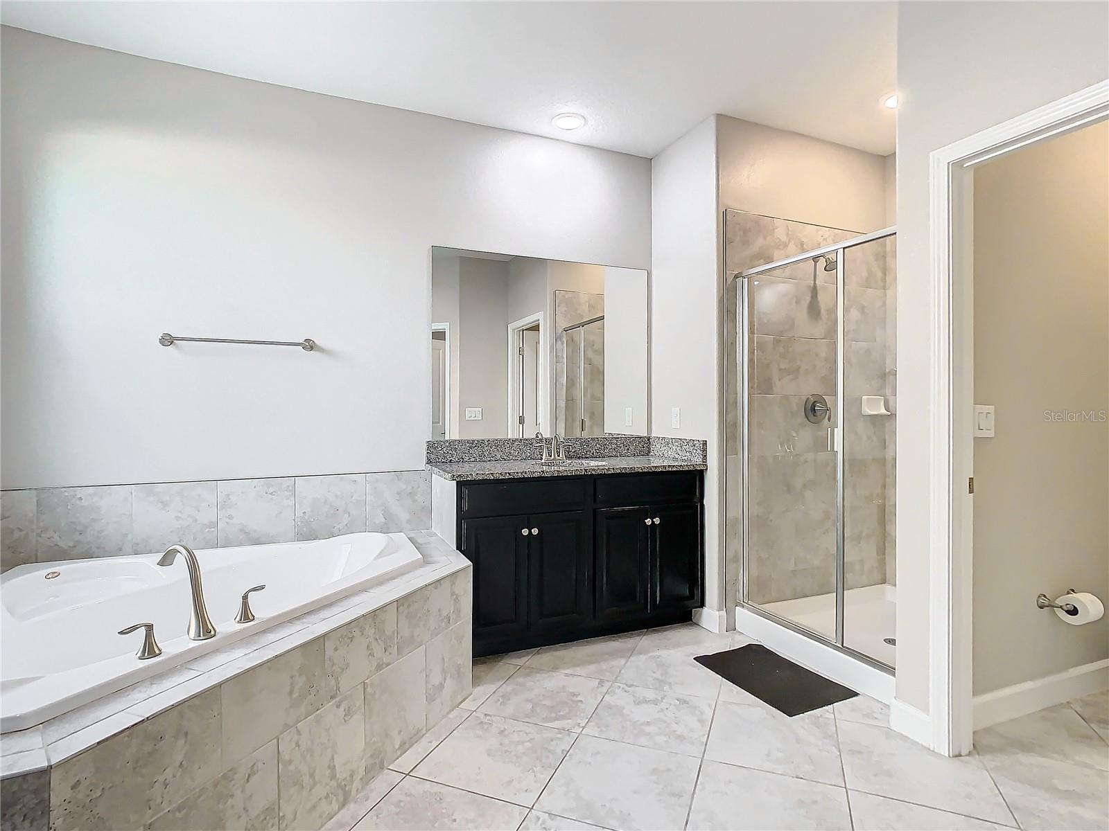 Master bathroom