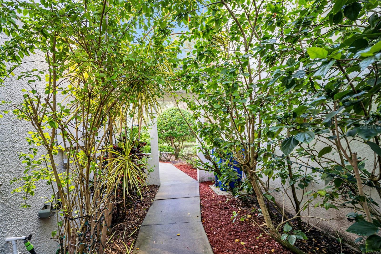 Sidewalk to rear patio and backyard