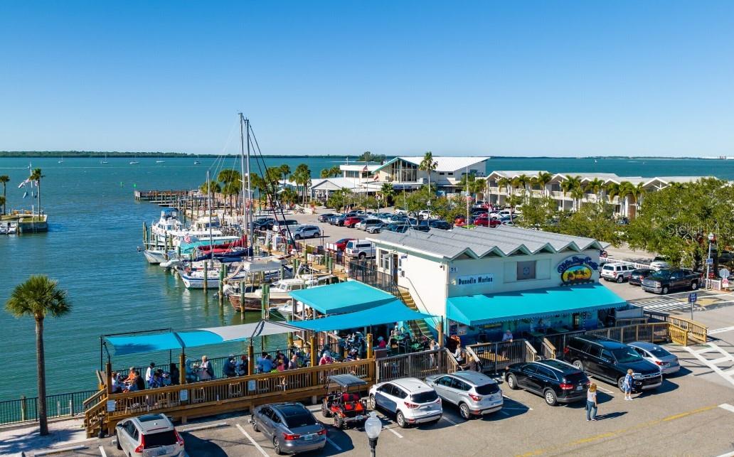 Downtown Dunedin Pier/Restaurant Arial