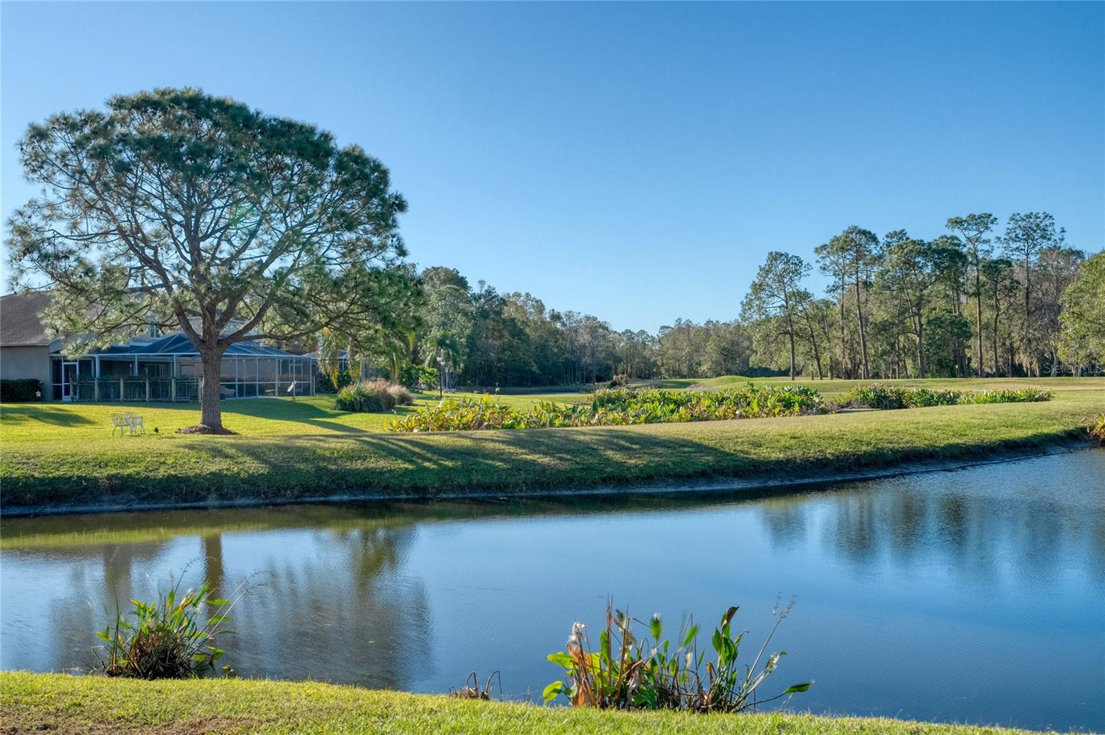 You have Water, Golf and Woods all in one amazing View... it's the Trifecta of views.