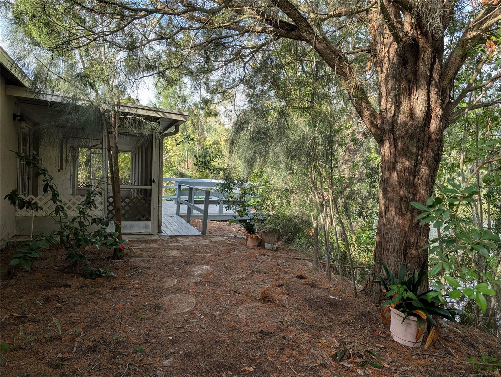 back yard to porch