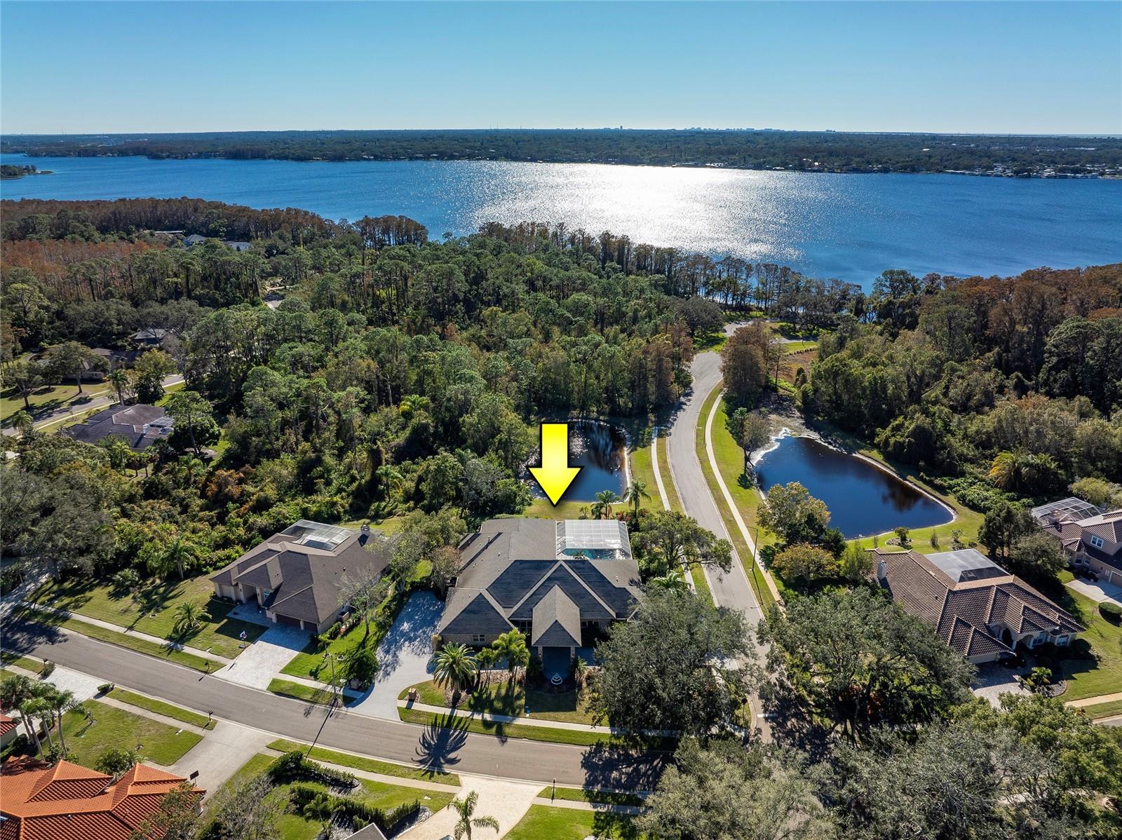 One level brick home on over an acre.  You can walk to Lake Tarpon.  No flooding from recent storms.  Not in a designated flood zone.