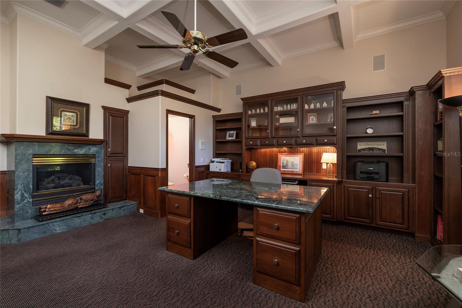 Gas fireplace, built in cabinetry