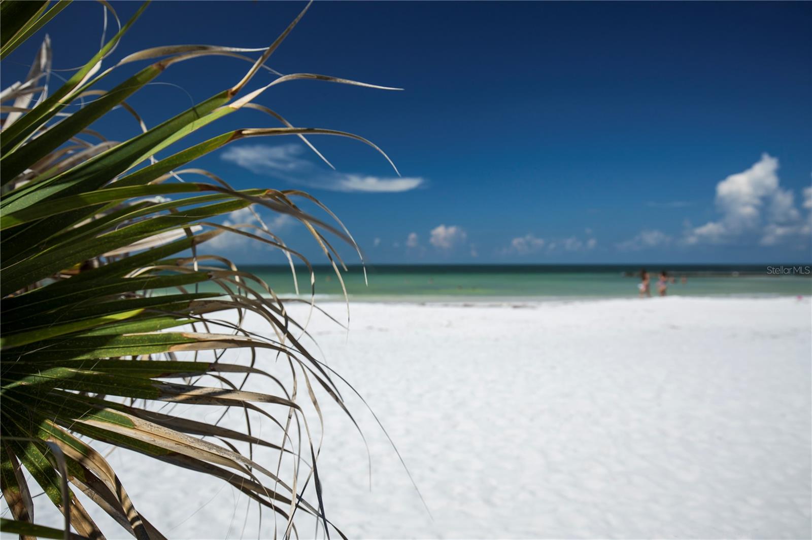 Dunedin Causeway to Honeymoon Island State Park & Beach approximately 14 miles from your home.