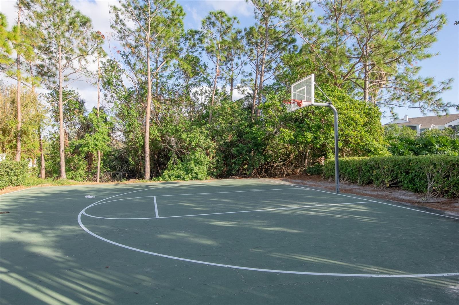 Basketball Court