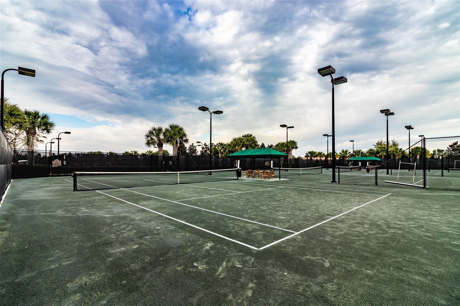 6 USTA Har-Tru Clay Tennis courts