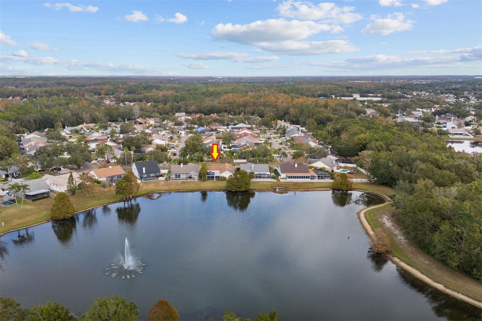 Aerial view of home from the pond