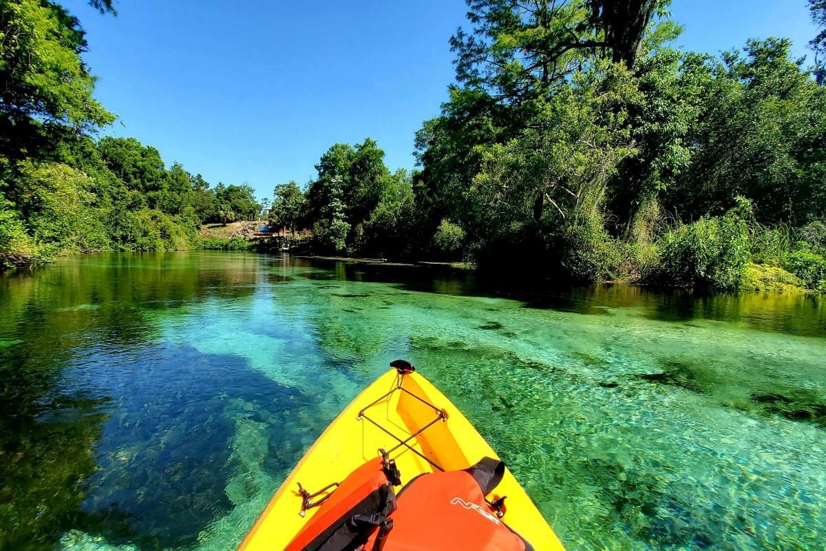 Weeden Park Reserve for kayak, paddleboarding, exploring and hiking.